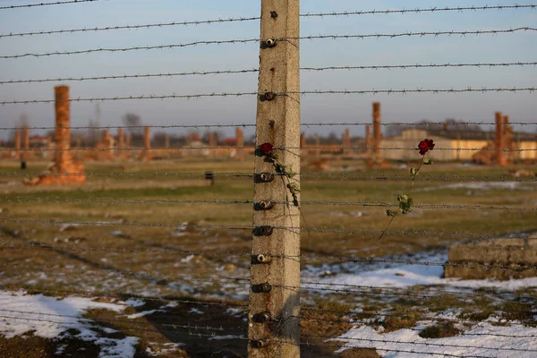 Auschwitz Birkenau Polonia Diciembre 2019 Cerca Eléctrica Con Alambre Púas —  Fotos de Stock