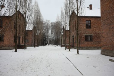 Auschwitz, Oswiecim, Polonya - 27 Ocak 2020: Auschwitz 'te kamp caddesi, I. Auschwitz' in tuğla binaları