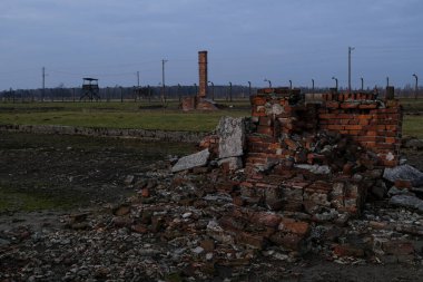 Auschwitz, Oswiecim, Polonya - 02 Ağustos 2019: Auschwitz Birkenau Brzezinka 'daki eski bir Nazi imha kampı. Brzezinka 'daki kışlalar dikenli tellerle harabe ve direklere bırakılmış.