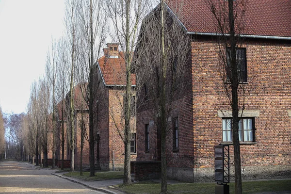 Auschwitz Oświęcim Polska Stycznia 2020 Ulica Obozowa Auschwitz Murowane Budynki — Zdjęcie stockowe