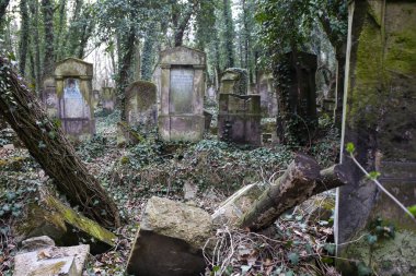 Czestochowa, Polonya - 31 Mart 2019: Kirkut, Czestochowa 'daki 4500' den fazla mezarı olan Yahudi mezarlığı. 1808 yılında kurulmuş. Polonya 'daki en eski ve en büyük Yahudi mezarlıklarından biri.