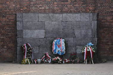Auschwitz-Birkenau, Polonya - 27 Ocak 2020: 75 Auschwitz-Birkenau Özgürlük Yıldönümü, Ölüm Duvarı 'nın yanında çiçekler ve mumlar