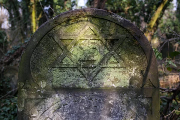 Tschenstochau Polen März 2019 Kirkut Jüdischer Friedhof Tschenstochau Mit Über — Stockfoto