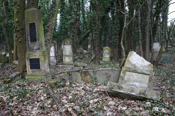 Tschenstochau Polen März 2019 Kirkut Jüdischer Friedhof Tschenstochau Mit Über — Stockfoto