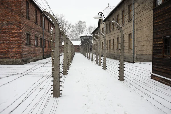Auschwitz Oswiecim Lengyelország 2020 Január Tábor Utca Auschwitzban Auschwitz Téglaépületei — Stock Fotó