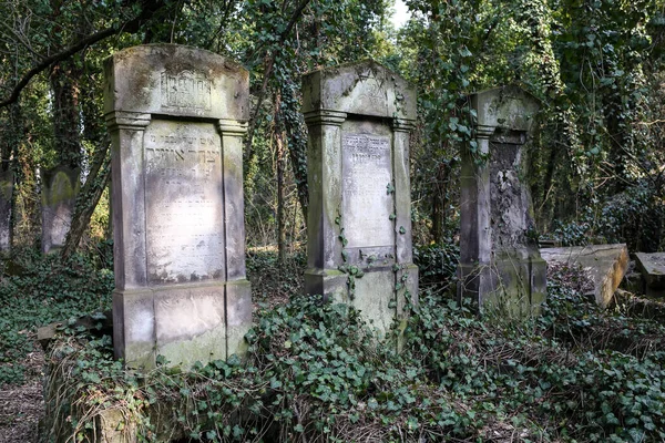 Czestochowa Polen Mars 2019 Kirkut Judisk Kyrkogård Czestochowa Med Över — Stockfoto