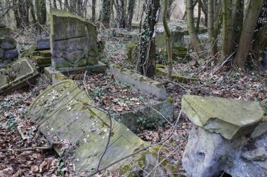 Czestochowa, Polonya - 31 Mart 2019: Kirkut, Czestochowa 'daki 4500' den fazla mezarı olan Yahudi mezarlığı. 1808 yılında kurulmuş. Polonya 'daki en eski ve en büyük Yahudi mezarlıklarından biri.