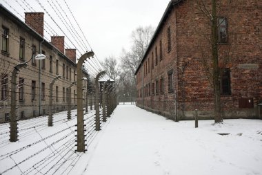 Auschwitz, Oswiecim, Polonya - 27 Ocak 2020: Auschwitz 'te kamp caddesi, I. Auschwitz' in tuğla binaları