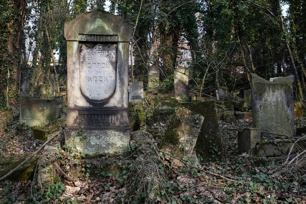 Tschenstochau Polen März 2019 Kirkut Jüdischer Friedhof Tschenstochau Mit Über — Stockfoto