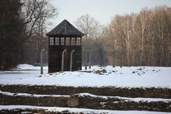 Auschwitz Oswiecim Polonia Gennaio 2020 Parte Del Museo Commemorativo Del — Foto Stock