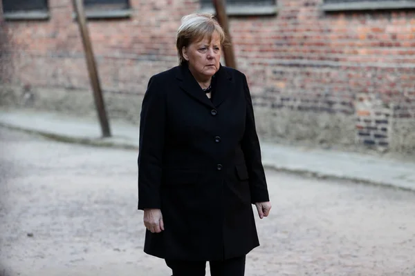 Auschwitz-Birkenau, Poland- 6 Aralık 2019: Auschwitz-Birkenau Alman toplama kampındaki Alman politikacı Şansölye Angela Merkel 'in ziyareti. Angela Merkel 'in Portresi