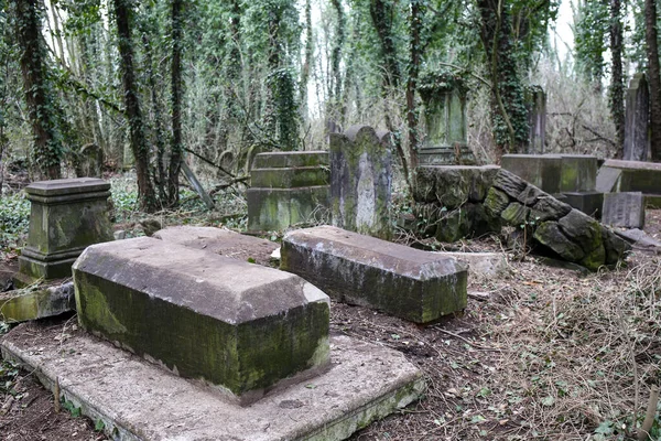 Tschenstochau Polen März 2019 Kirkut Jüdischer Friedhof Tschenstochau Mit Über — Stockfoto