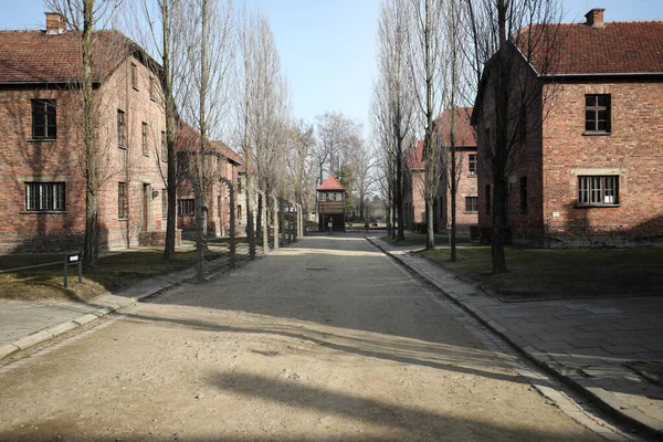 Auschwitz Oswiecim Polonia Enero 2020 Calle Campo Auschwitz Edificios Ladrillo —  Fotos de Stock