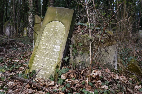 Czestochowa Polonia Marzo 2019 Kirkut Cimitero Ebraico Czestochowa Con Oltre — Foto Stock