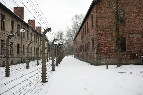 Auschwitz Oswiecim Polen Januar 2020 Lagerstraße Auschwitz Backsteingebäude Von Auschwitz — Stockfoto