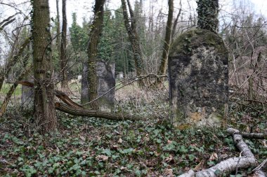 Czestochowa, Polonya - 31 Mart 2019: Kirkut, Czestochowa 'daki 4500' den fazla mezarı olan Yahudi mezarlığı. 1808 yılında kurulmuş. Polonya 'daki en eski ve en büyük Yahudi mezarlıklarından biri.