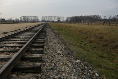 Auschwitz-Birkenau, Polonya - 14 Haziran 2019: Ulusal Anma Günü. Demiryolu Auschwitz 'in ana girişine gidiyor. Auschwitz Toplama Kampı Soykırım Anma Müzesi 'nin bir parçası.