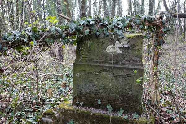 Tschenstochau Polen März 2019 Kirkut Jüdischer Friedhof Tschenstochau Mit Über — Stockfoto