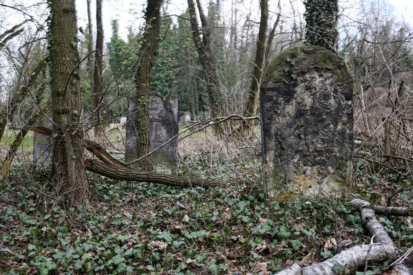 Czestochowa Polsko Března 2019 Kirkut Židovský Hřbitov Czestochowě Více Než — Stock fotografie
