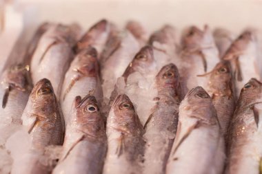 Taze deniz ürünleri, balık pazarında buzda balık.