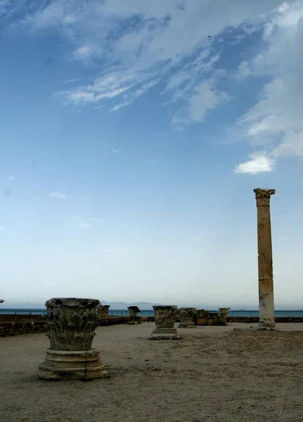 Ερείπια Των Λουτρών Του Antoninus Λουτρά Της Καρχηδόνας Καρχηδόνα Τυνησία — Φωτογραφία Αρχείου