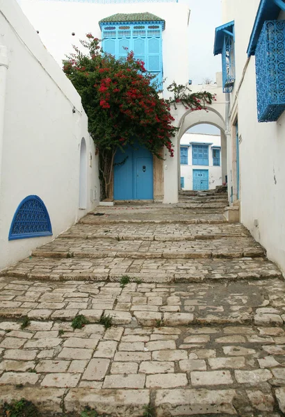 Sidi Bou Said Tunus Haziran 2009 Beyaz Mavi Binalar — Stok fotoğraf
