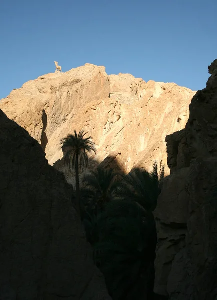 Tunísia Atlas Mountains Oásis Montanha Chebika — Fotografia de Stock