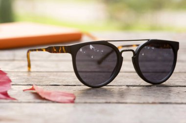 Güneş gözlüğü gözlükleri, doğal park alanında, ahşap masada.