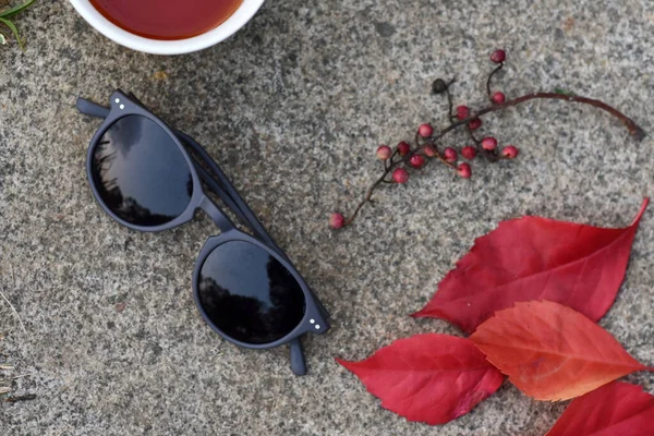 Lunettes Soleil Lunettes Vue Dans Parc Naturel Plein Air Sur — Photo