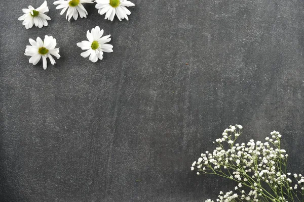 Renkli taş arkaplanda çiçekler