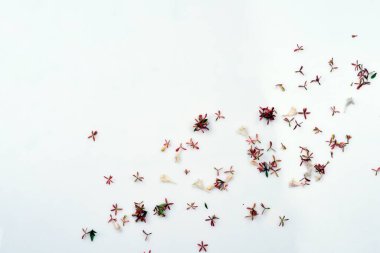 beyaz kağıt arkaplanda renkli çiçekler