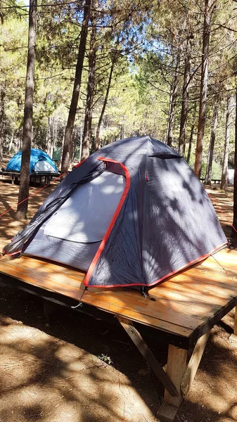 Tente Camping Dans Forêt Près Mer — Photo