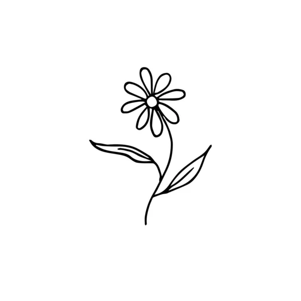 Beyaz Arka Planda Siyah Çizgileri Olan Iki Yapraklı Bir Çiçek — Stok Vektör