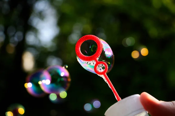 Renkli sabun köpükleriyle dolu plastik bir şişe. Birçok baloncuk ve yeşillik içeren fotoğrafçılığı kapat..