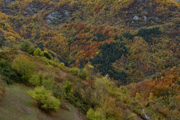 Bulgaristan 'ın Rodop Dağları' nın Lakavitsa köyündeki muhteşem sonbahar manzarası