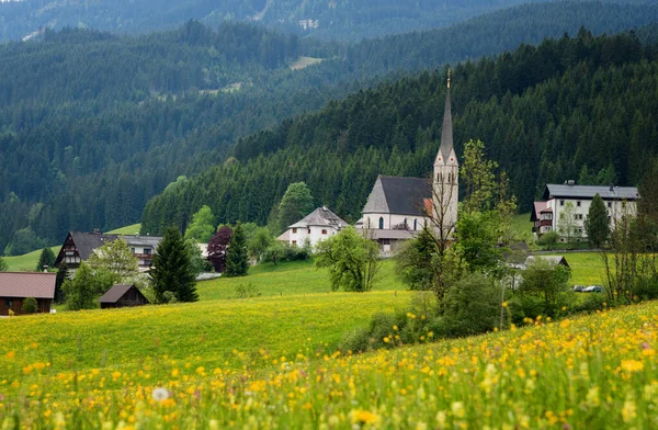Kleurrijk Buitenleven Oostenrijkse Alpen Zomer Zonnige Dag Het Gosau Dorp — Stockfoto