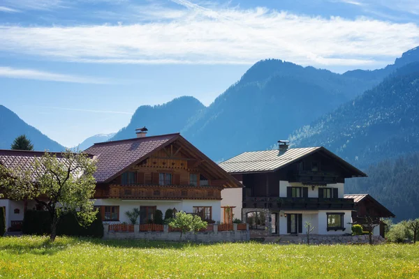 Kleurrijk Buitenleven Oostenrijkse Alpen Zomer Zonnige Dag Het Gosau Dorp — Stockfoto