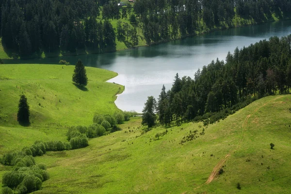 Incroyable Paysage Printanier Réservoir Dospat Région Smolyan Bulgarie — Photo
