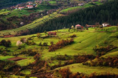 Güzel kırsal alan. Borovitsa köyünde bahar, Doğu Rhodopes, Bulgaristan