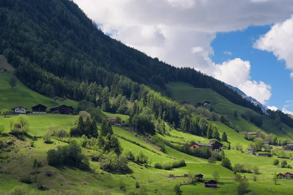 Idyllisch Landschap Alpen Lente Met Traditionele Berghut Frisse Groene Bergweiden — Stockfoto