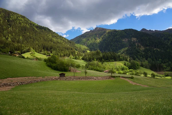 Idyllisch Landschap Alpen Lente Met Traditionele Berghut Frisse Groene Bergweiden — Stockfoto