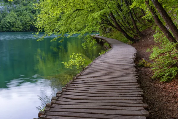 Su üzerinde turkuaz su ve ahşap patikalı güzel şelale manzarası. Plitvice Lakes Ulusal Parkı, Hırvatistan. Ünlü cazibe, yaz manzarası..
