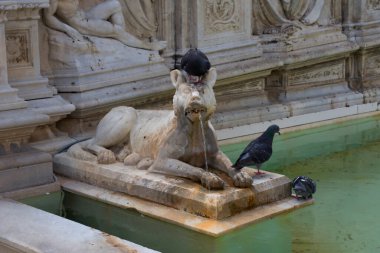 Fonte Gaia 'nın ayrıntıları (neşe pınarı), Meryem Ana ve bebek İsa ile birlikte. Campo Meydanı (Campo Meydanı). Siena, İtalya