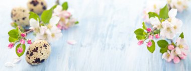 Elma çiçeği mavi.