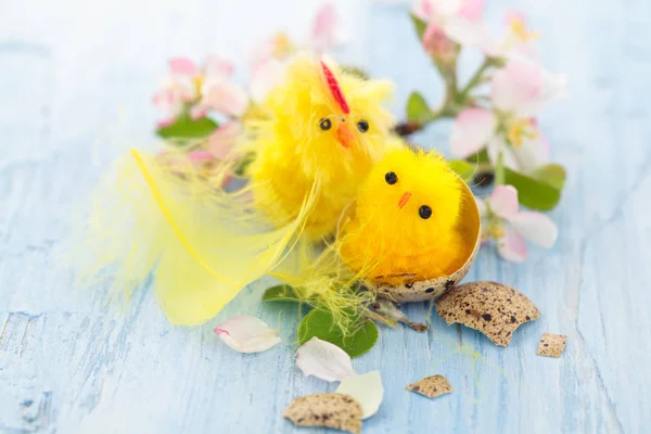 Small chicks in nest. — Stock Photo, Image