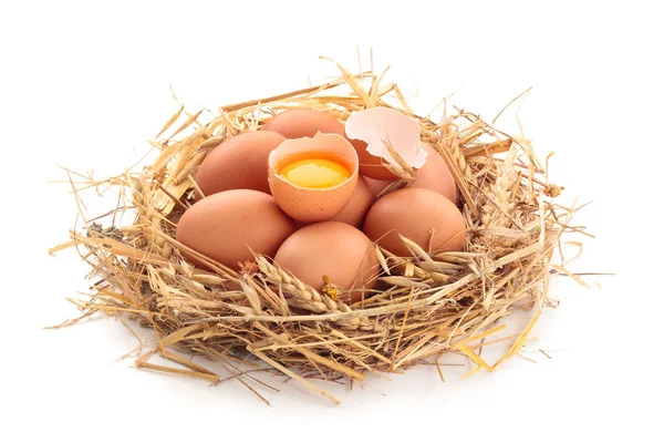 Kuřecí vejce v hnízdě . — Stock fotografie