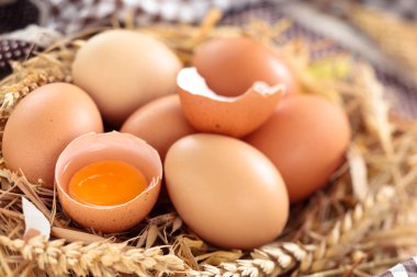 taze tavuk yumurta.