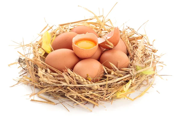 Chicken eggs in nest — Stock Photo, Image