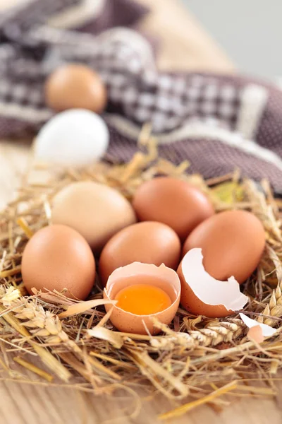 Свежие куриные яйца . — стоковое фото