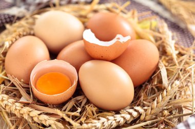 taze tavuk yumurta.